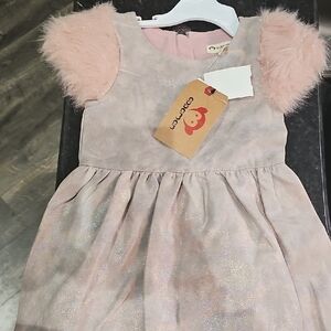 Appaman Shimmery Pink Dress with Fluffy Sleeves